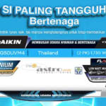 Daikin Flash Inverter 2 PK